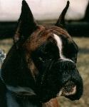 Athos del Gran Mogol