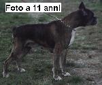Leditbe del Gran Mogol