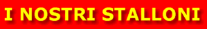 Stalloni