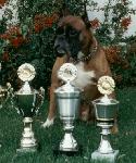 Zeb del Gran Mogol